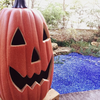 ★ハロウィン装飾・庭★
