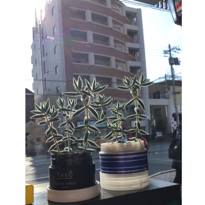 ★2月のお休み★