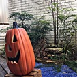 ★ハロウィン装飾・庭★